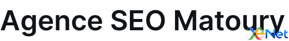 Agence SEO Matoury